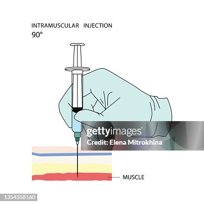 Muscles Contract Injection Intramuscular Injection Effective Methods Of Administration Of Drugs ...