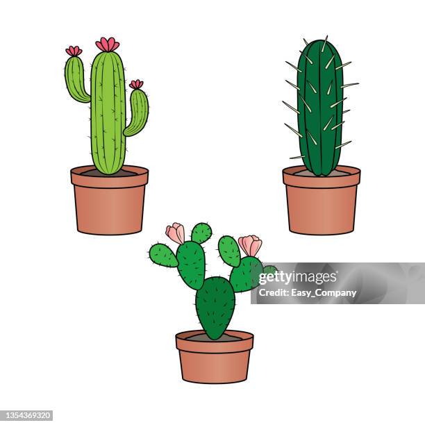 ilustraciones, imágenes clip art, dibujos animados e iconos de stock de ilustración vectorial de una página de libro para colorear de actividades infantiles con imágenes de cactus. - cacto