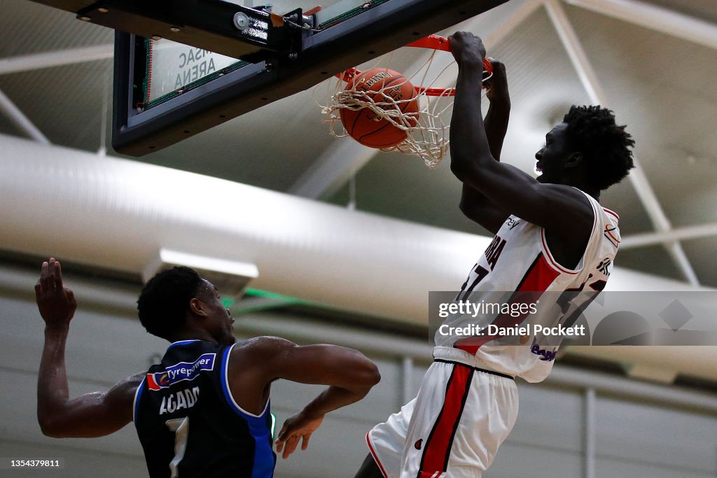 NBL Blitz - Melbourne v Illawarra