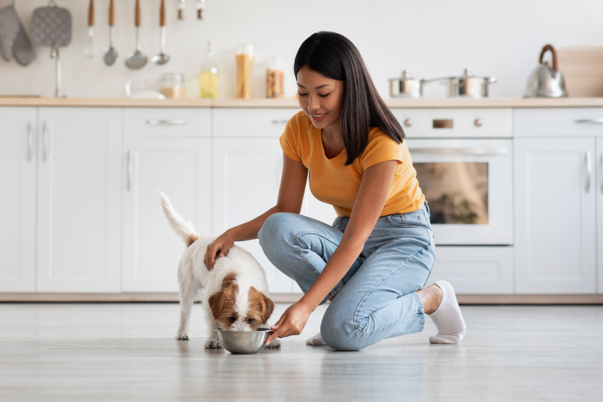 puppy food bowl