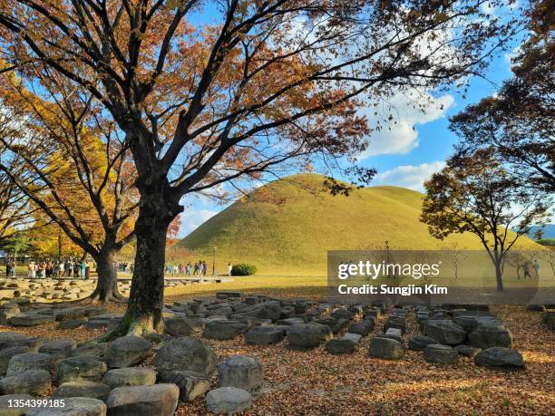 royal tomb at gyeongju - gyeongju ストックフォトと画像