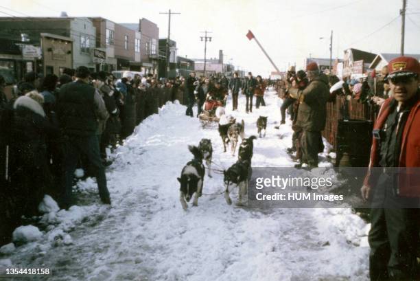 Iditarod finish line - ca. March 1974.