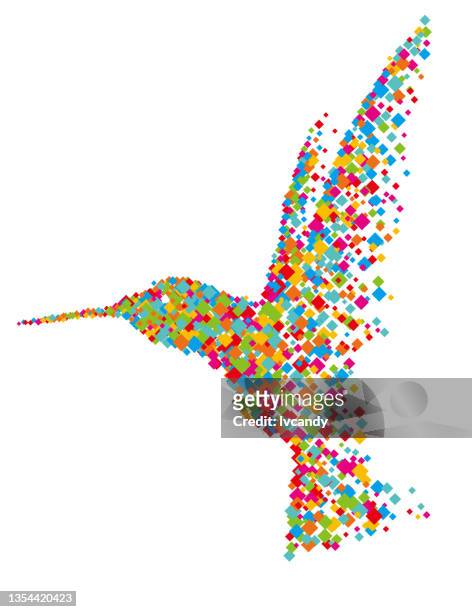 ilustrações, clipart, desenhos animados e ícones de fragmentos de beija-flor - hummingbird