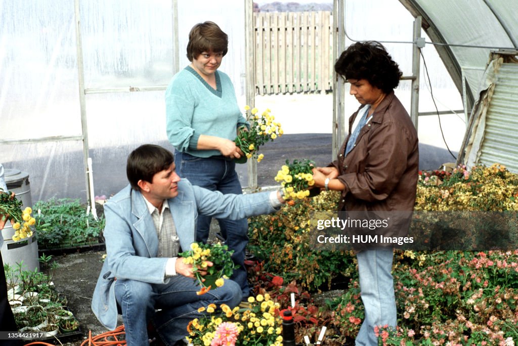 1982 - Bob Hathaway, chief horticulturist Cherokee Nation, directs employees at the Cherokee Nation of Oklahoma nursery.