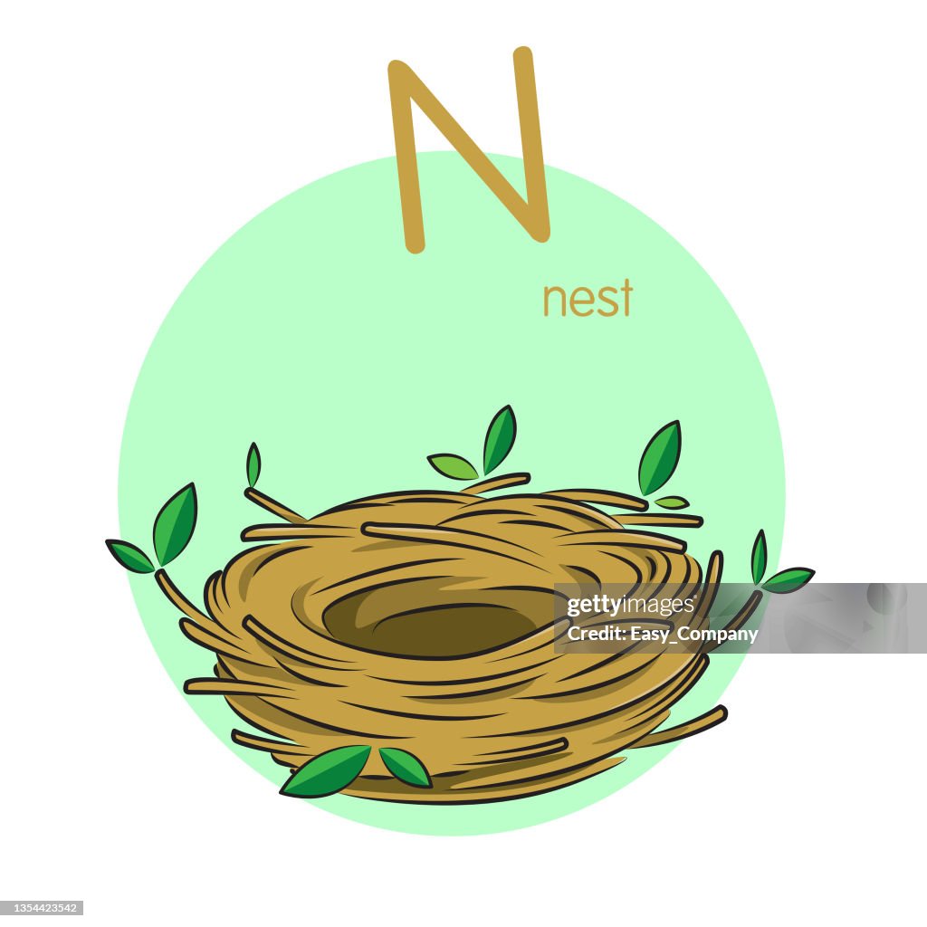 Nesting Letters Vector Illustration Of Nest With Alphabet Letter N Upper Case Or ...