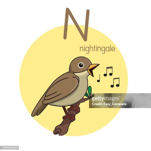 vector illustration of nightingale with alphabet letter n upper case or capital letter for children learning practice abc - word of mouth stock illustrations