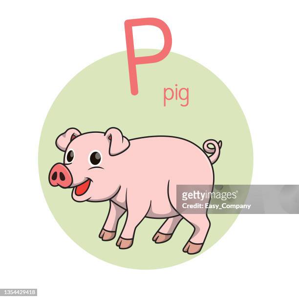 vektorabbildung von schwein mit alphabetbuchstaben p großbuchstaben oder großbuchstaben für kinder lernpraxis abc - ferkel stock-grafiken, -clipart, -cartoons und -symbole