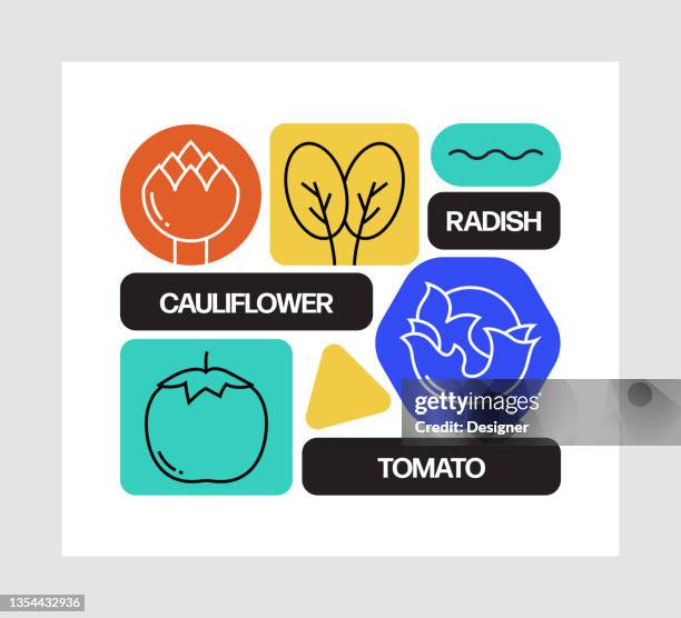 vegetables concept, line style vector illustration - almonds stock illustrations
