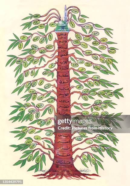 According to Islamic prophetic tradition, Muhammad was descended from Adnan. Tradition records the genealogy from Adnan to Muhammad comprises 21...