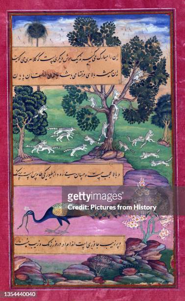 B_burn_ma is the name given to the memoirs of _ah_r ud-D_n Mu_ammad B_bur , founder of the Mughal Empire and a great-great-great-grandson of Timur....