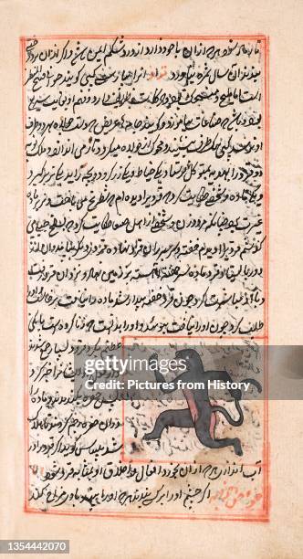 37 Abu Zakariya Yahya Stock Photos, HighRes Pictures, and Images