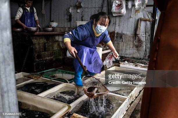 The vendor wear the mask while sells fish at an open market on November 20, 2021 in Wuhan, China. Life for many of the residents in Wuhan is...