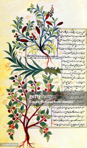 Hashah 17 Ibn Ishaq Stock Photos, High-Res Pictures, and Images - Getty Images