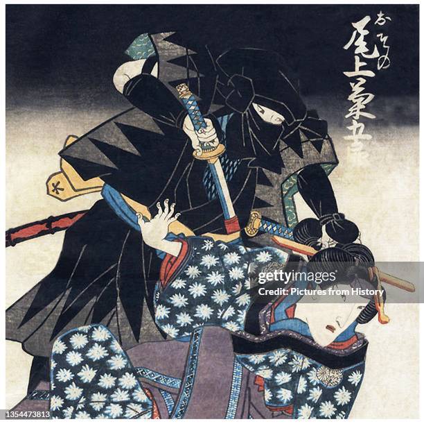 Ninja or shinobi was a covert agent or mercenary in feudal Japan who specialized in unorthodox warfare. The functions of the ninja included...