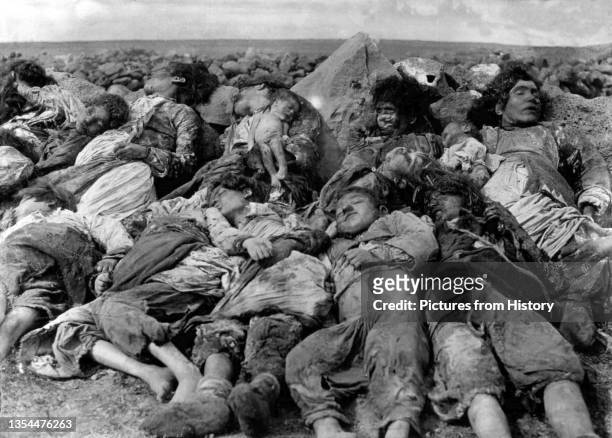 The Armenian Genocide refers to the deliberate and systematic destruction of the Armenian population of the Ottoman Empire during and just after...