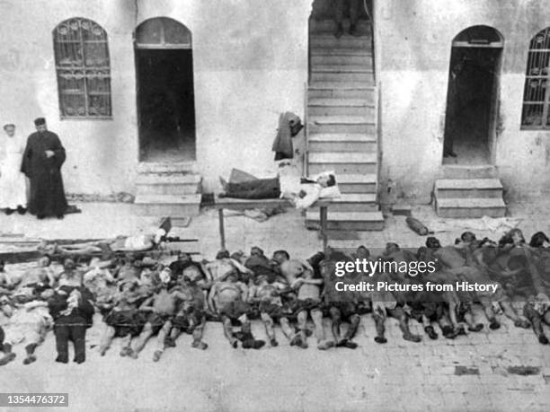 The Armenian Genocide refers to the deliberate and systematic destruction of the Armenian population of the Ottoman Empire during and just after...