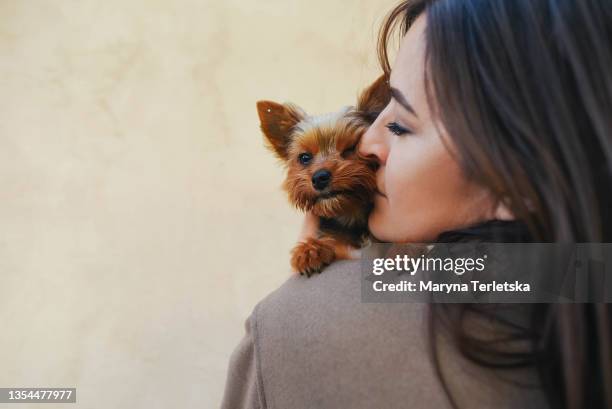 beautiful girl with a dog in the autumn city. - smiling brown dog stock pictures, royalty-free photos & images