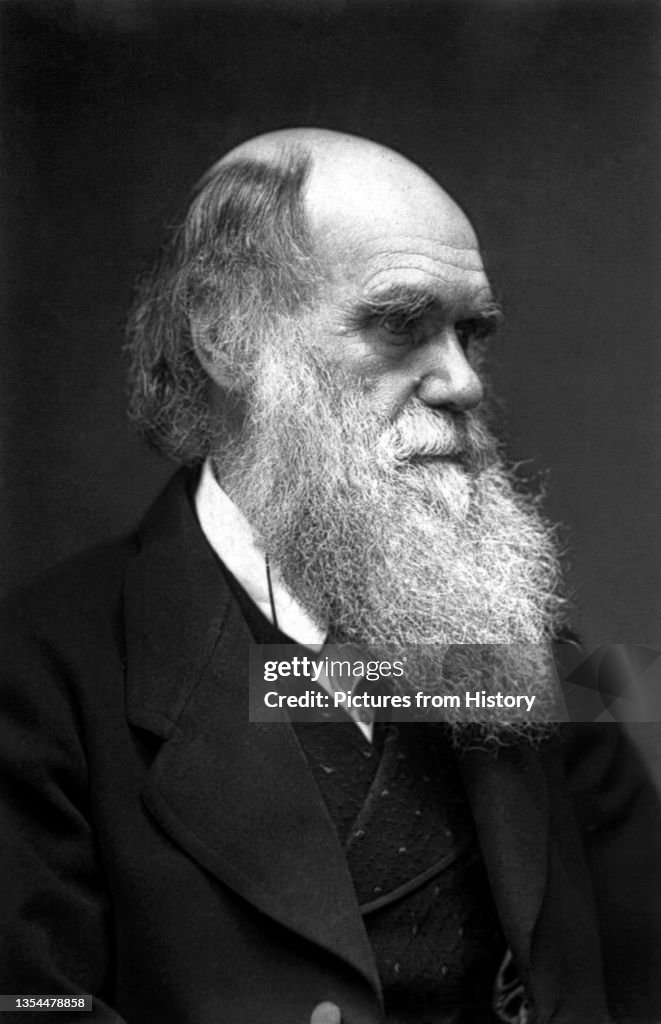 England / UK: Charles Darwin (1809-1882), English naturalist, geologist and author of 'On the Origin of the Species' (1859), Elliot and Fry, 1874