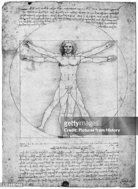 Leonardo di ser Piero da Vinci was an Italian polymath, painter, sculptor, architect, musician, mathematician, engineer, inventor, anatomist,...