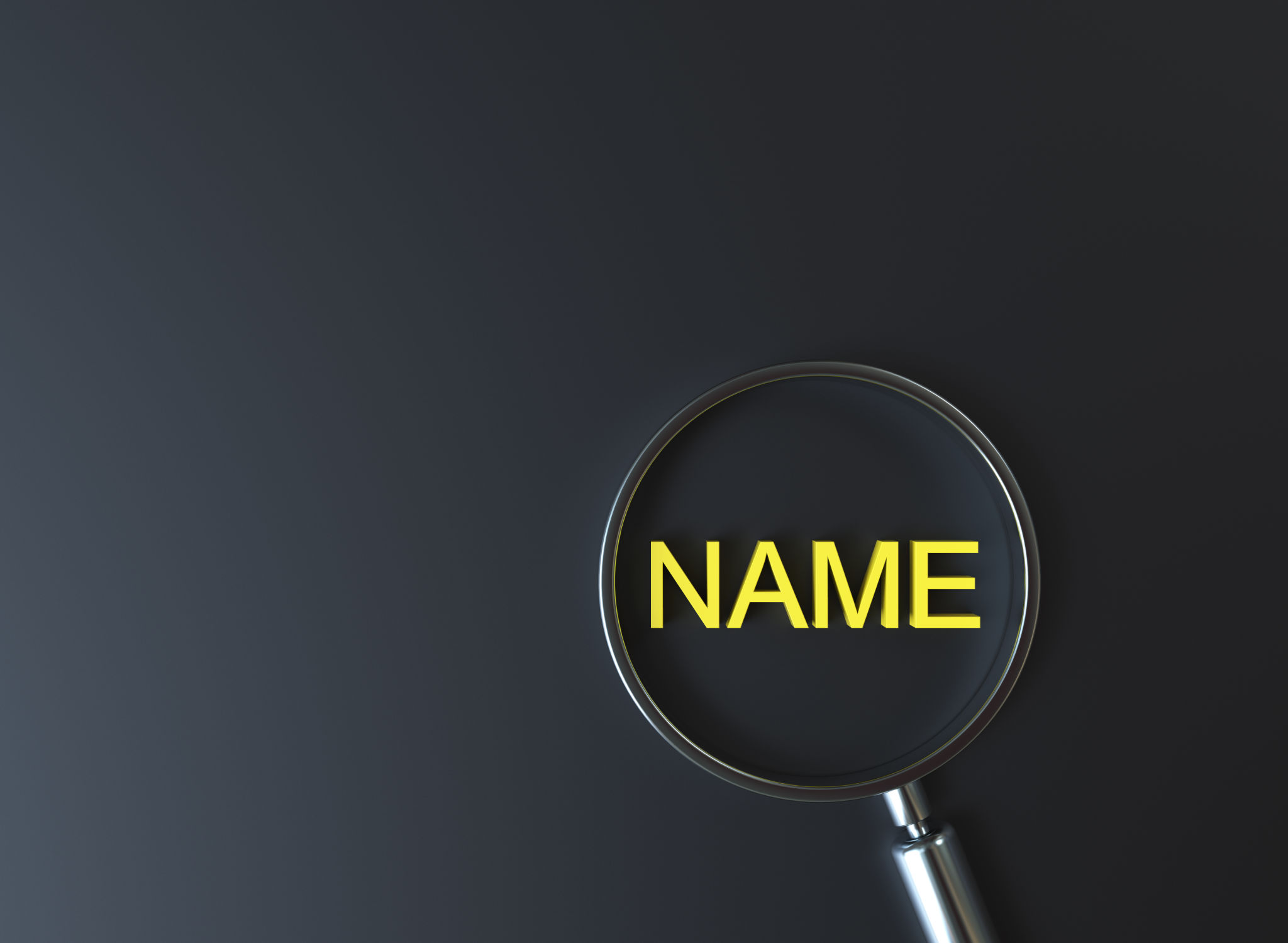 business name search