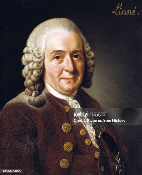 Carl Linnaeus, also known after his ennoblement as Carl von LinnŽ, was a Swedish botanist, physician, and zoologist, who laid the foundations for the...