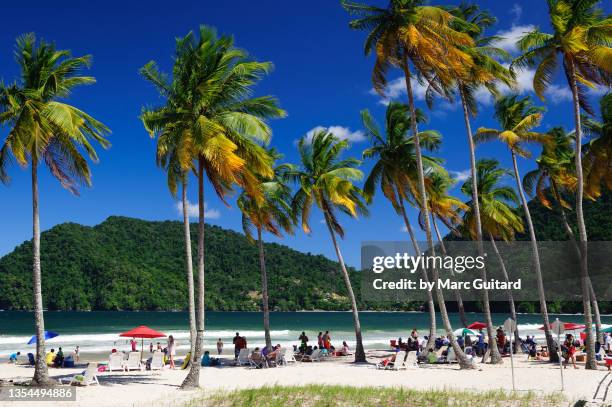 palm trees at maracas beach, trinidad, trinidad & tobago - トリニダードトバゴ共和国 ストックフォトと画像