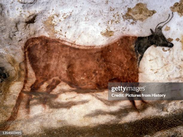 Lascaux is the setting of a complex of caves in southwestern France famous for its Paleolithic cave paintings. The original caves are located near...