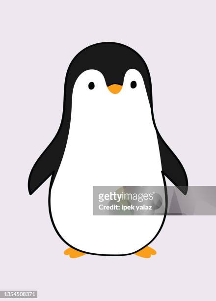 cute penguin icon in flat style. cold winter animal illustration. - penguin icon stock illustrations