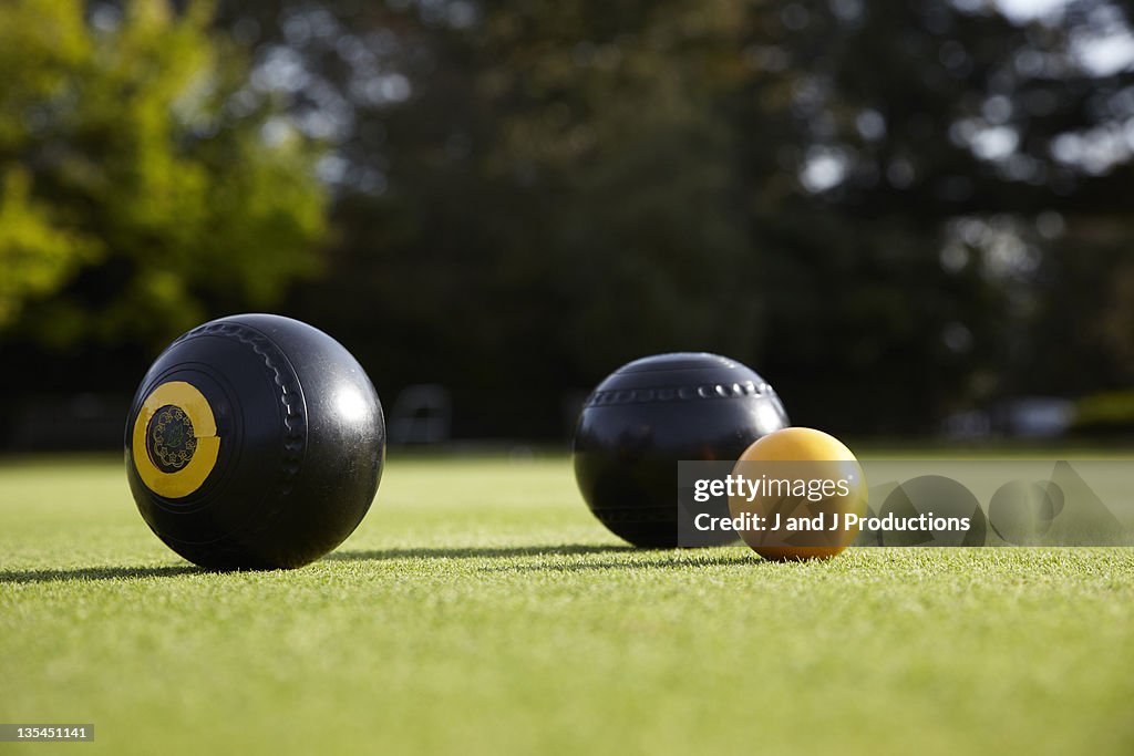 Bowls and a wood on a bowling green