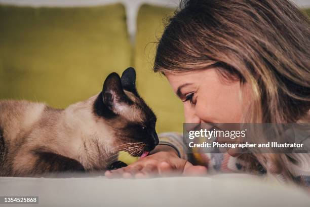 bella ragazza e il suo gatto siamese - gatto siamese foto e immagini stock