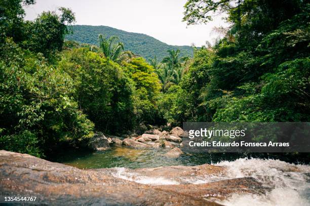 view of waterfall in a lush tropical rainforest - parati stock pictures, royalty-free photos & images