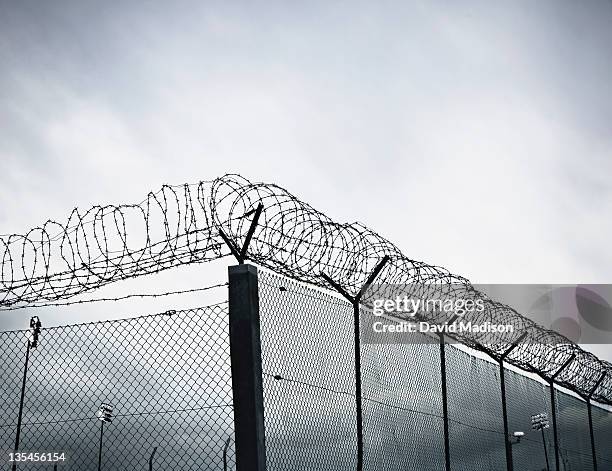 chain link fence with barbed wire and razor wire. - prison foto e immagini stock