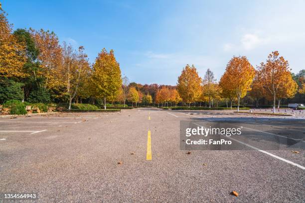 empty parking lot in autumn - 駐車標識 ストックフォトと画像