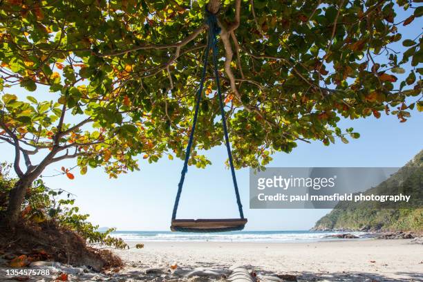 rope swing at beach - florianópolis imagens e fotografias de stock
