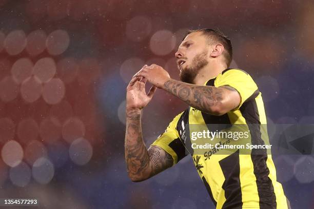 David Ball of the Phoenix reacts after missing a shot at goal during the A-League match between Macarthur FC and Wellington Phoenix at McDonald Jones...