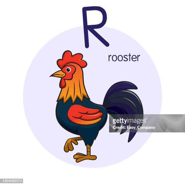 vector illustration of rooster with alphabet letter r upper case or capital letter for children learning practice abc - word of mouth stock illustrations