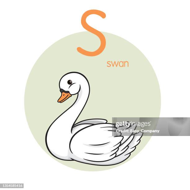 vector illustration of swan with alphabet letter s upper case or capital letter for children learning practice abc - swan stock illustrations