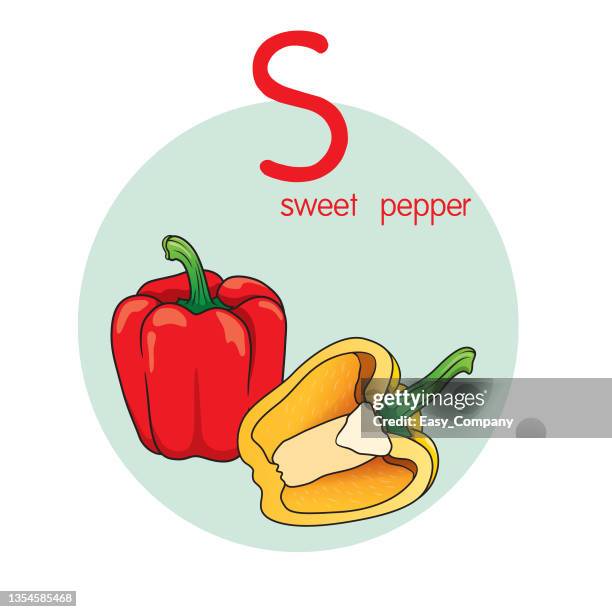 vector illustration of sweet pepper with alphabet letter s upper case or capital letter for children learning practice abc - pimento stock illustrations