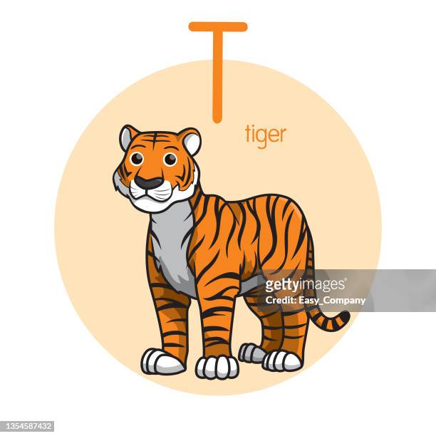 Wild Royal Bengal Tiger High Res Illustrations - Getty Images