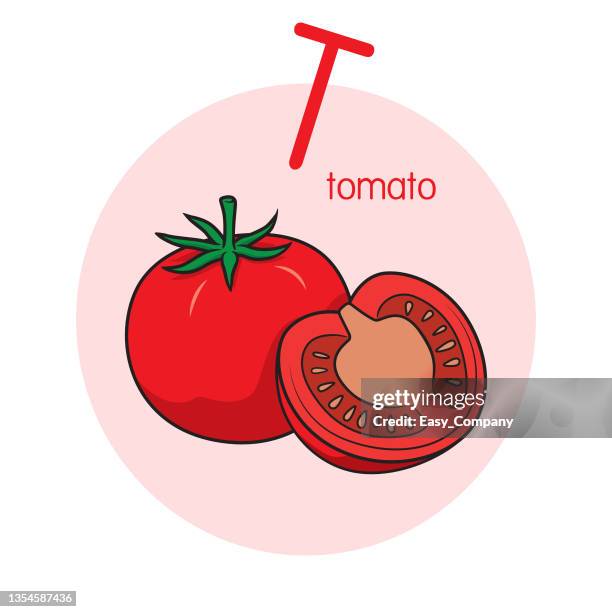 vektorabbildung der tomate mit alphabetbuchstaben t großbuchstaben oder großbuchstaben für kinder lernpraxis abc - vegetable juice stock-grafiken, -clipart, -cartoons und -symbole