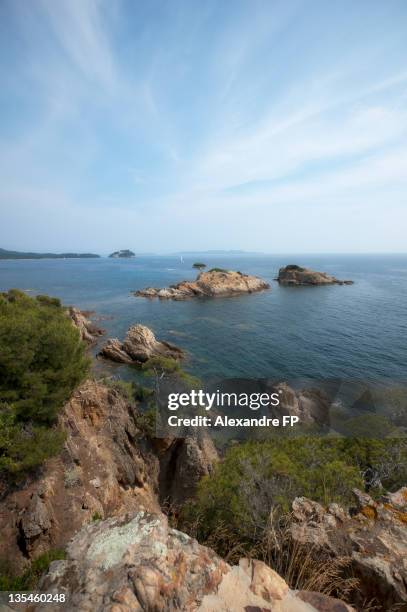 coastal path to fort bregancon at mediterranean - bormes les mimosas photos et images de collection