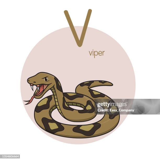 illustrations, cliparts, dessins animés et icônes de illustration vectorielle de viper avec la lettre alphabétique v lettres majuscules ou majuscules pour la pratique d’apprentissage des enfants abc - cobra