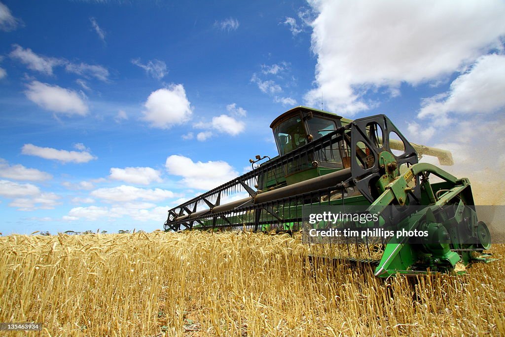 Harvesting Machine in field