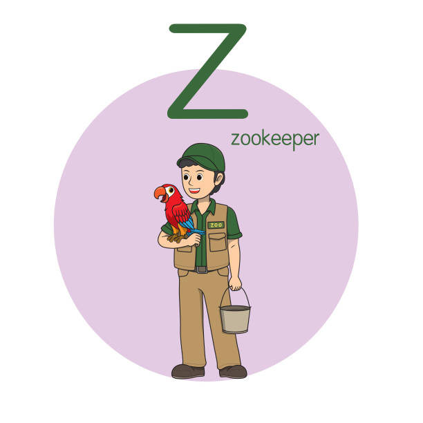 vector illustration of zookeeper with alphabet letter z upper case or capital letter for children learning practice abc - zoo art stock illustrations