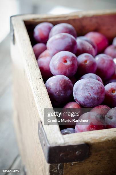 plums - plum stock pictures, royalty-free photos & images
