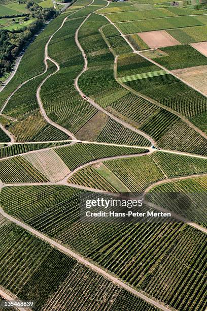 aerial shot of german vineyards - rhineland palatinate stockfoto's en -beelden