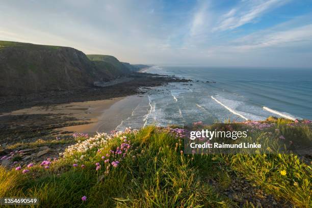 rocky shore in spring, duckpool beach, bude, north cornwall, england, united kingdom, europe - bud fotografías e imágenes de stock