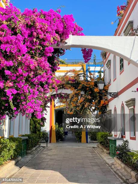 pretty street scene in puerto de mogan - isla de gran canaria fotografías e imágenes de stock