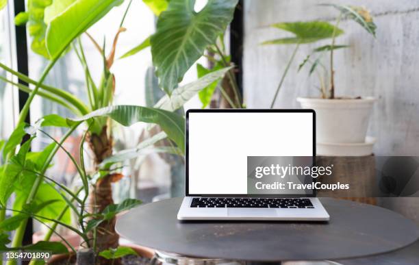 laptop computer blank screen on table in cafe background. laptop with blank screen on table of coffee shop blur background. - plakat mock up stock-fotos und bilder