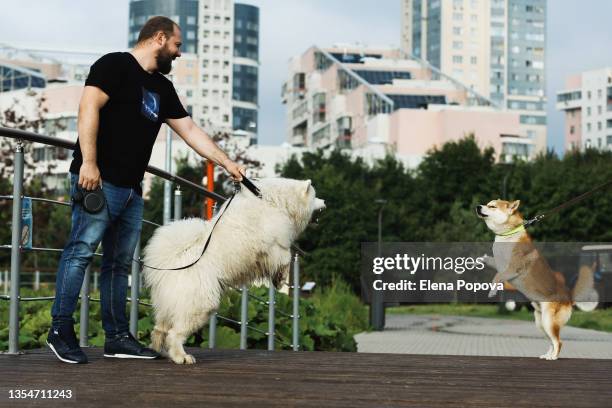 two dogs barking for each other at the public park - ladrando fotografías e imágenes de stock